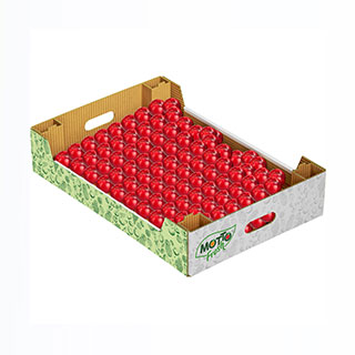 Erik Paketleme5 Kg. Karton Kutu
